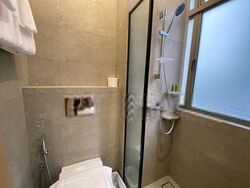 Mount Elizabeth Link (D9), Apartment #475553451